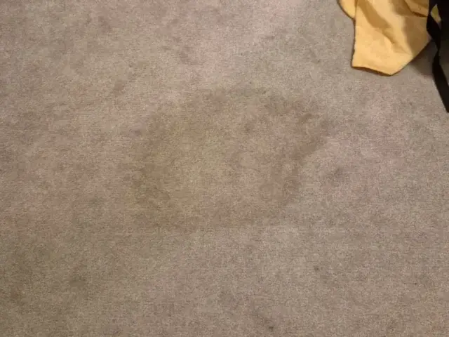 Large stain on a fitted carpet before treatment