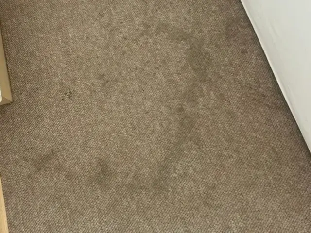 Big stain on a fitted carpet in a Somerset West home