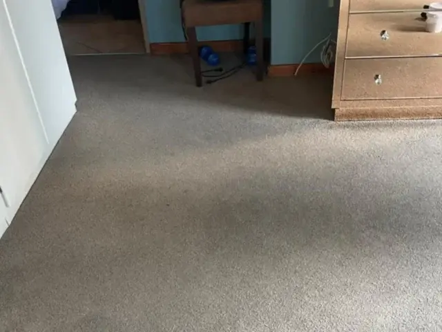 Carpet after removing a large stain