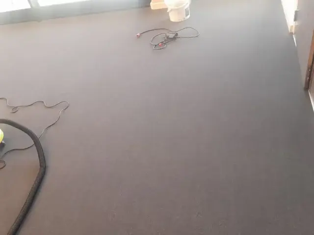 Carpet cleaner cleaning a bedroom carpet