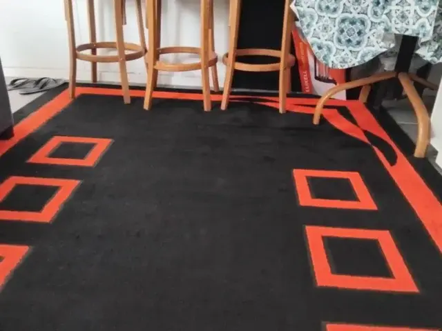 Freshly cleaned area rug in a living room