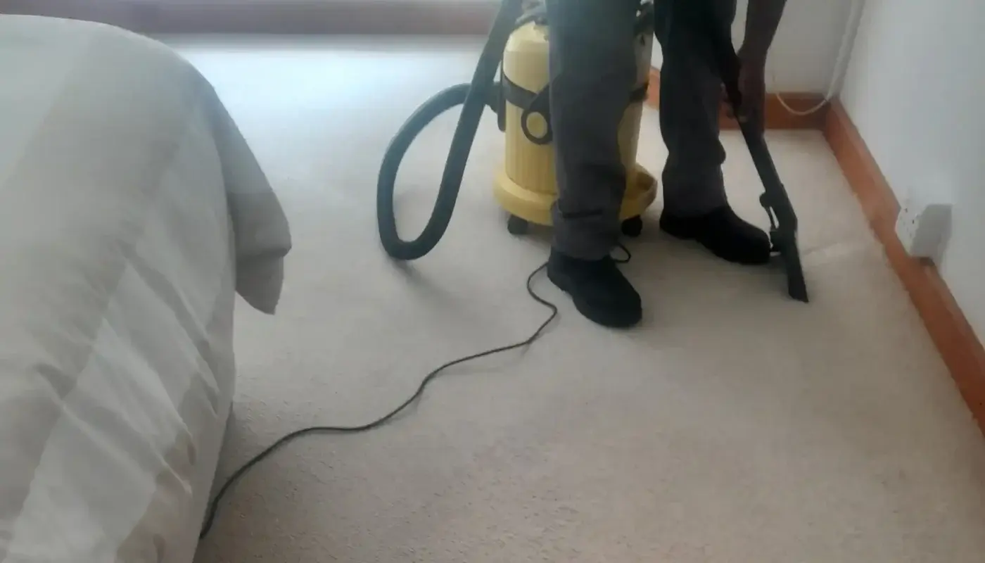 Professional carpet stain removal in progress