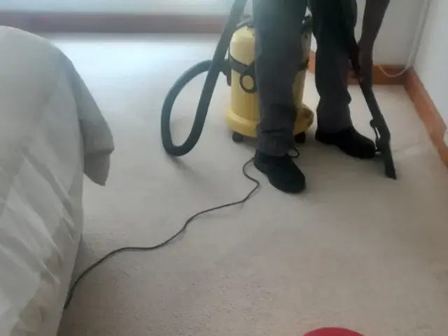 Professional carpet stain removal in progress