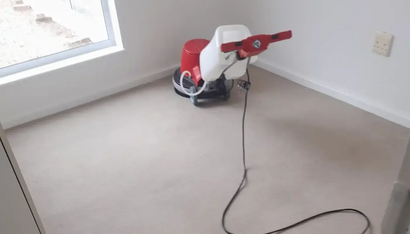 Professional fitted carpet cleaning service
