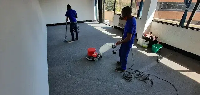 Fitted carpet cleaning before and after in a Somerset West home