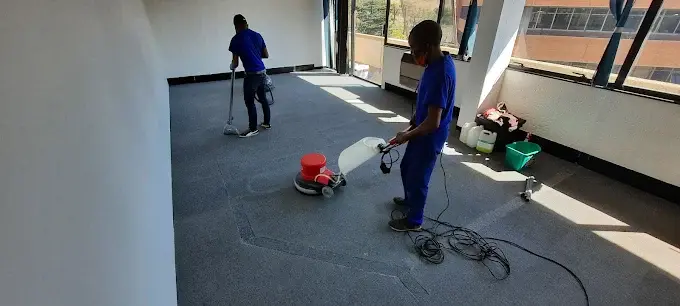 Fitted carpet cleaning before and after in a Somerset West home