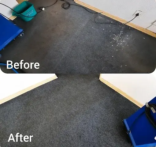 Fitted carpet cleaning before and after in a Somerset West home