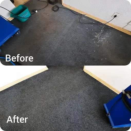Fitted carpet cleaning before and after in a Somerset West home