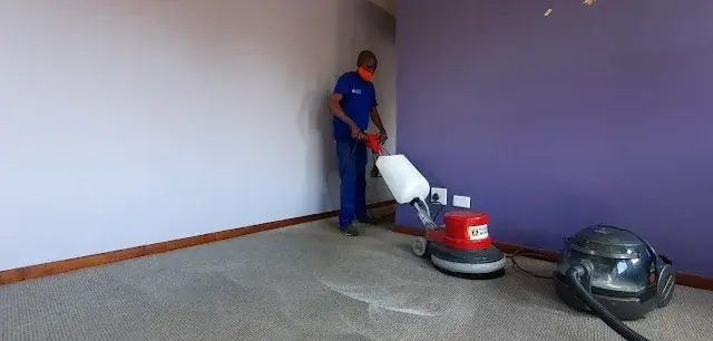 Fitted carpet cleaning before and after in a Somerset West home