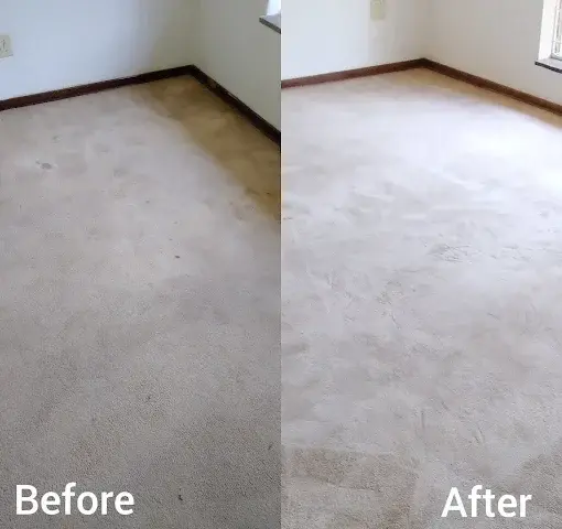 Fitted carpet cleaning before and after in Erinvale Golf Estate, Somerset West