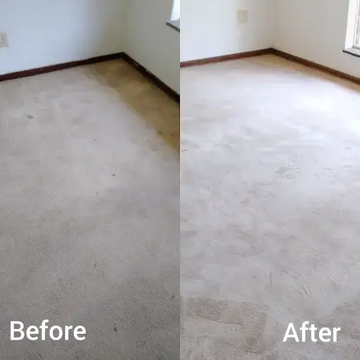 Fitted carpet cleaning before and after in Erinvale Golf Estate, Somerset West