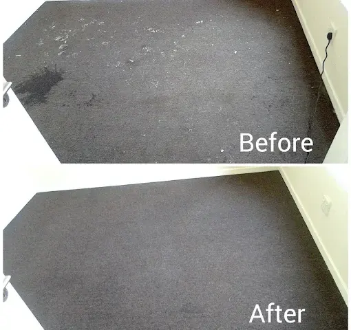 Fitted carpet cleaning before and after in Firgrove Rural, Somerset West