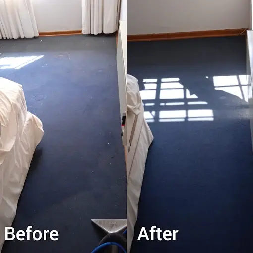 Fitted carpet cleaning before and after in Fraai Gelegen, Somerset West