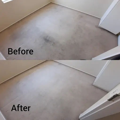Fitted carpet cleaning before and after in Garden Village, Somerset West