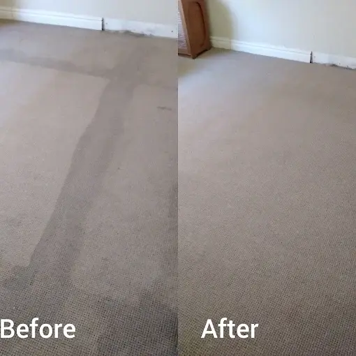 Fitted carpet cleaning before and after in Golden Acre, Somerset West