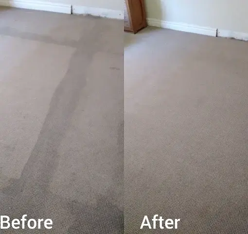 Fitted carpet cleaning before and after in Haumannshof, Somerset West