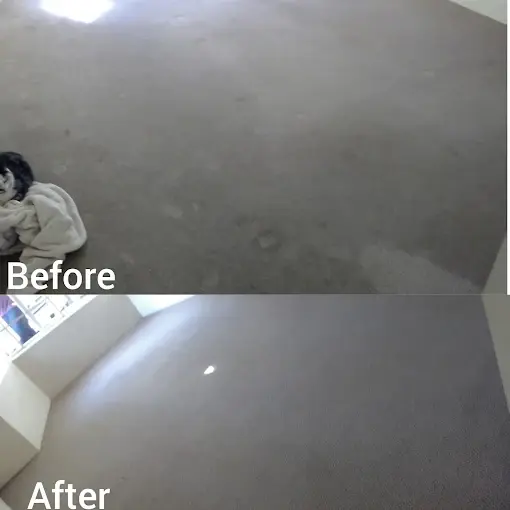Fitted carpet cleaning before and after in Helderberg Rural, Somerset West