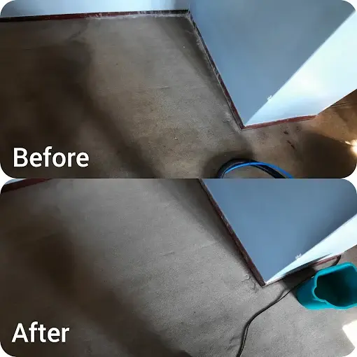 Fitted carpet cleaning before and after in Helderrand, Somerset West