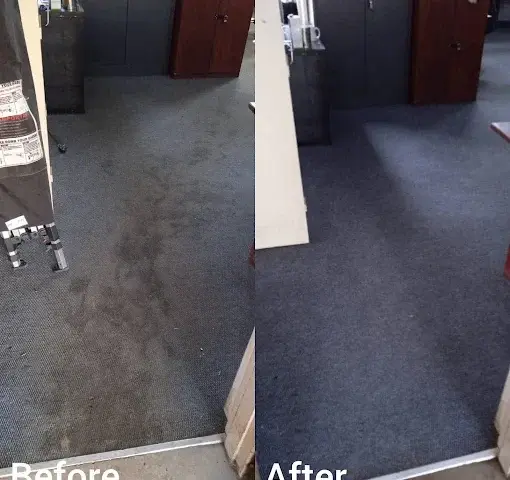 Fitted carpet cleaning before and after in Heldervue, Somerset West