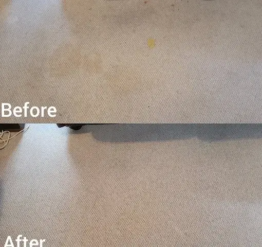 Fitted carpet cleaning before and after in Heritage Mews, Somerset West