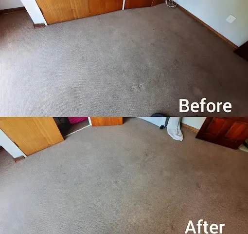 Fitted carpet cleaning before and after in Jacques Hill, Somerset West