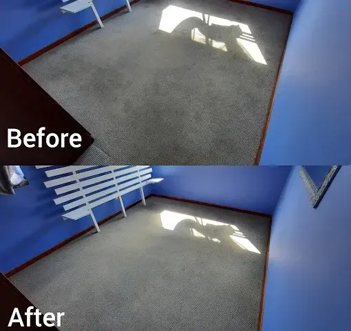 Fitted carpet cleaning before and after in Kalamunda, Somerset West