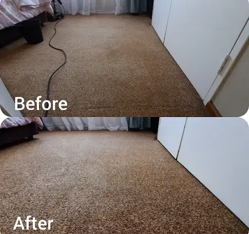 Fitted carpet cleaning before and after in La Concorde, Somerset West