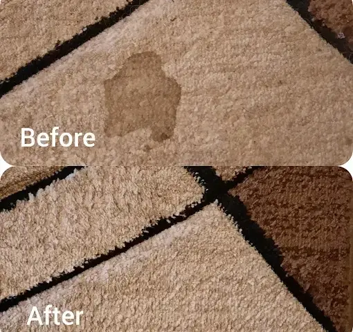 Fitted carpet cleaning before and after in Land en Zeezicht, Somerset West