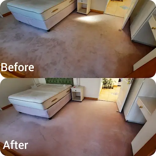 Fitted carpet cleaning before and after in Lionviham, Somerset West