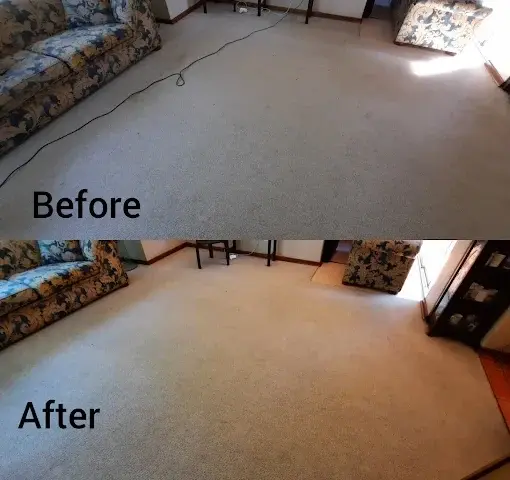 Fitted carpet cleaning before and after in Longdown Estate, Somerset West