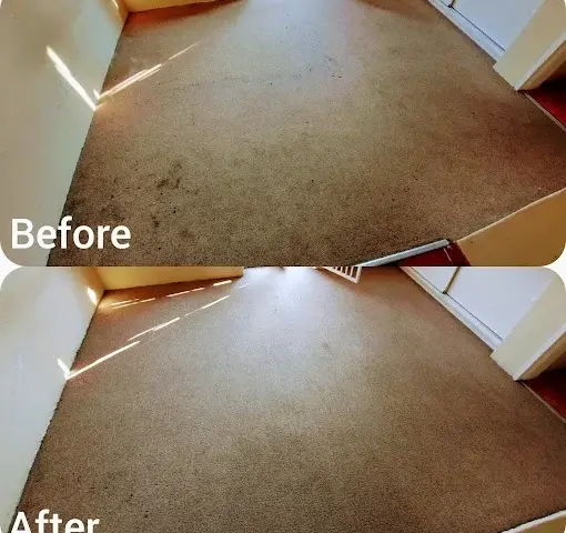 Fitted carpet cleaning before and after in Montclair, Somerset West