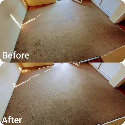 Fitted carpet cleaning before and after in Montclair, Somerset West