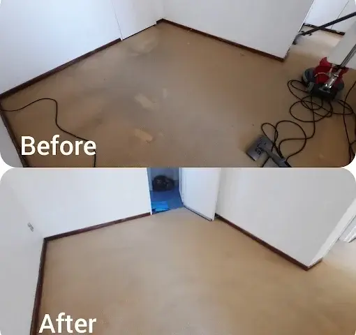 Fitted carpet cleaning before and after in Natures Valley, Somerset West