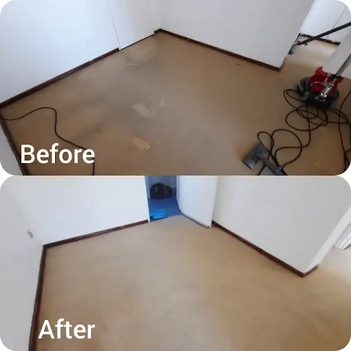 Fitted carpet cleaning before and after in Natures Valley, Somerset West