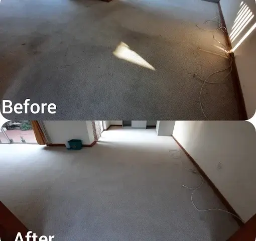 Fitted carpet cleaning before and after in Olive Grove, Somerset West