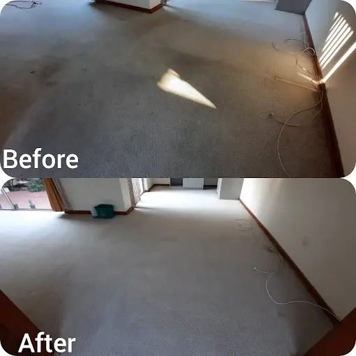 Fitted carpet cleaning before and after in Olive Grove, Somerset West