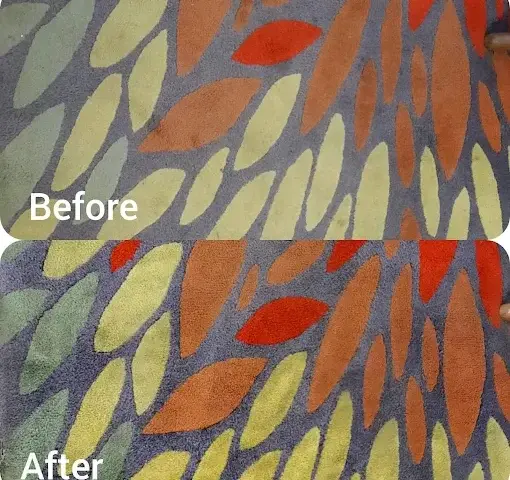 Rug cleaning before and after in a Somerset West home