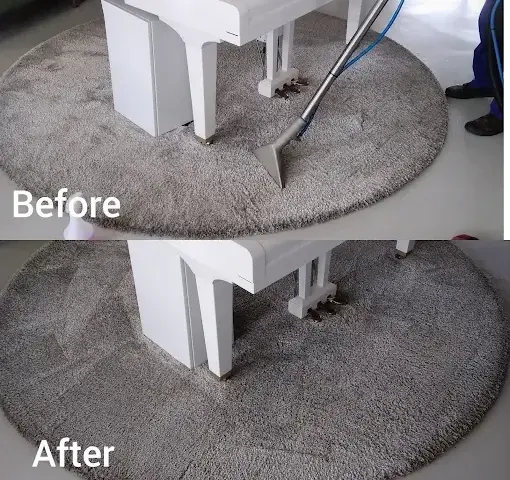 Rug stain treatment before and after professional cleaning in Somerset West